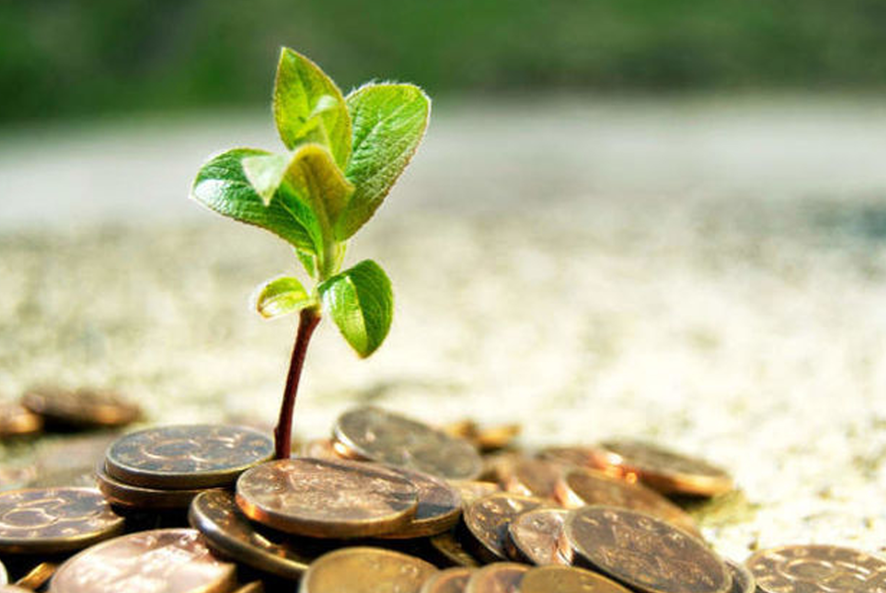 الاقتصاد الإسلامي؛ علم أم مذهب؟