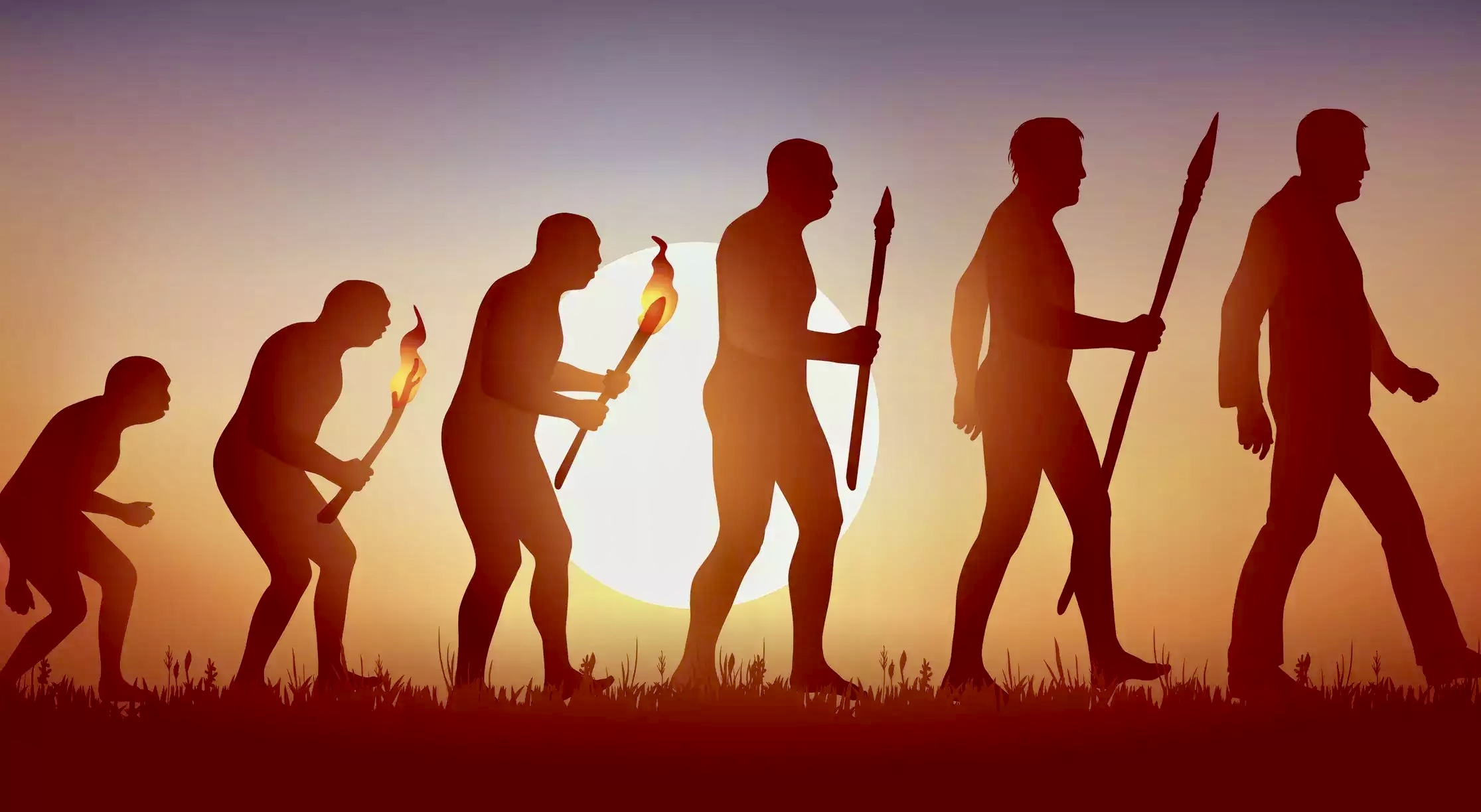 تأويل النظريات العلمية بين الحياد المعرفي والإسقاطات الأيديولوجية